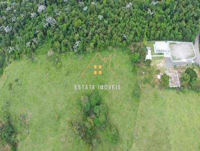 Terreno Industrial para Venda, em Mogi das Cruzes, bairro Tabo�o