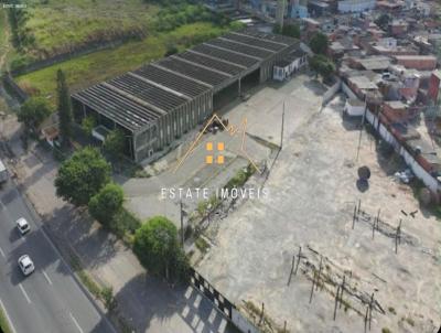 imagem-miniatura